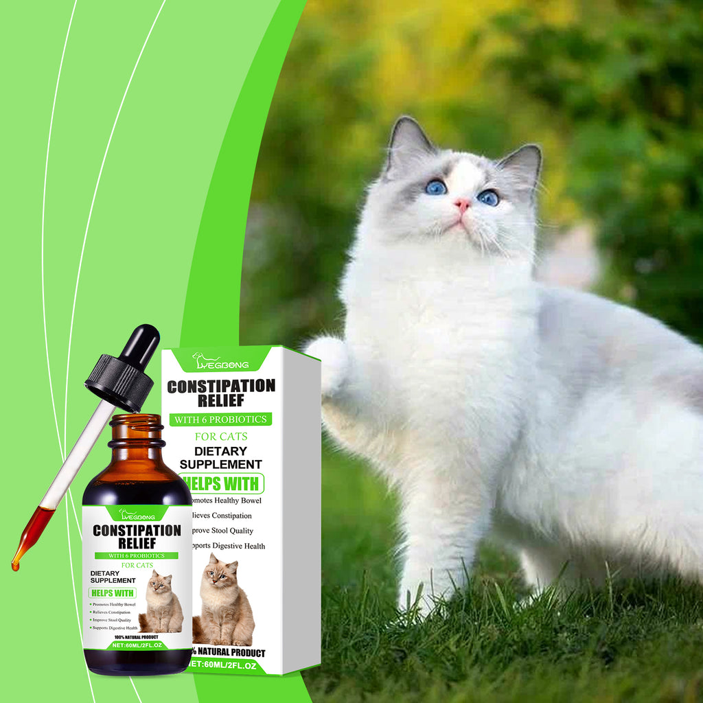 Cats With Probiotic Drops
