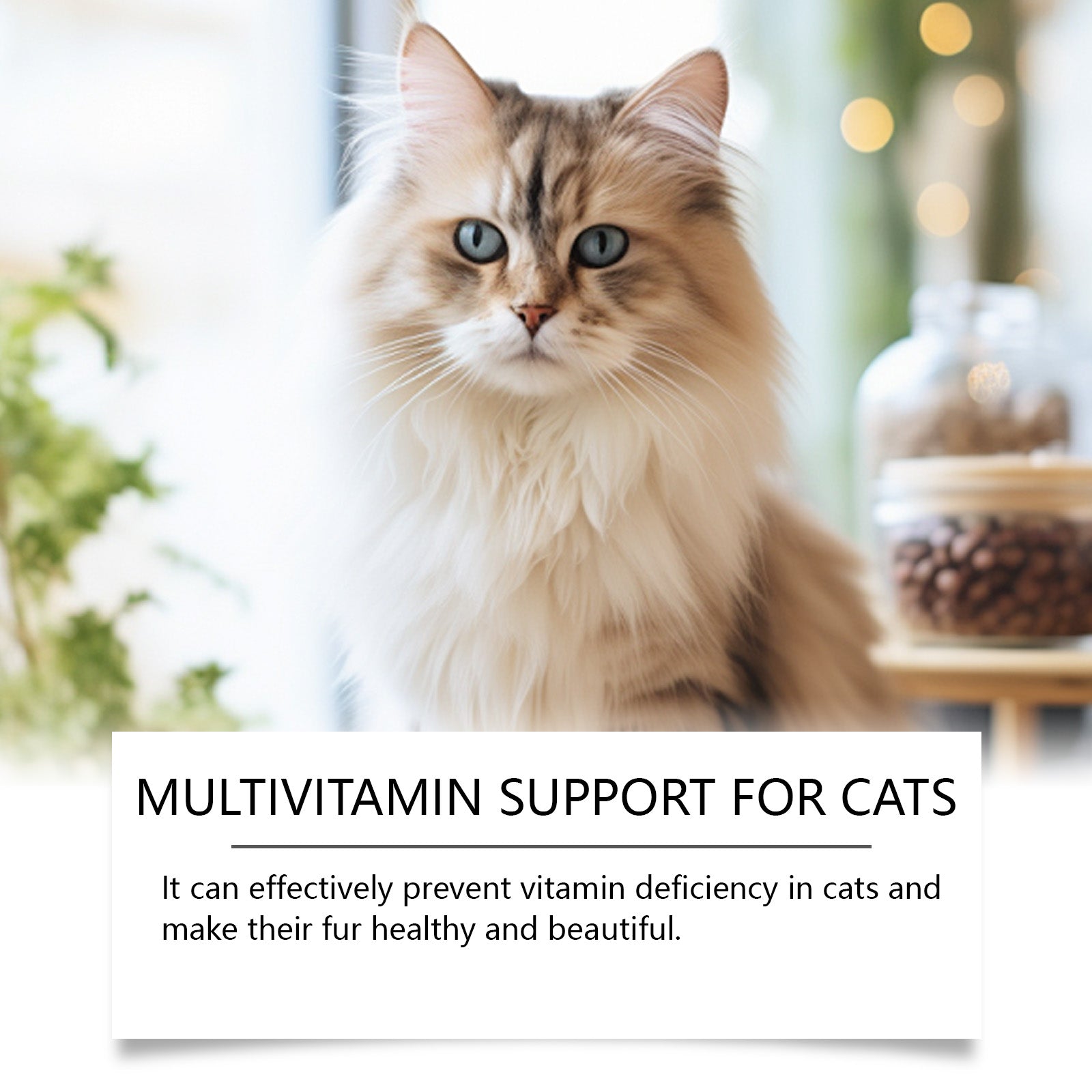 Pet Cat Multivitamin Tablets