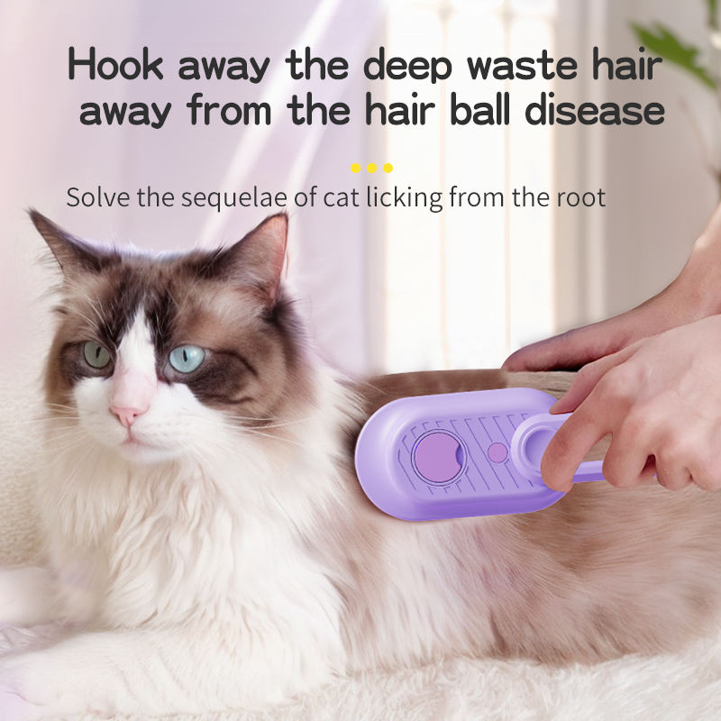 USB Rechargeable Cat Massage Comb with Spray