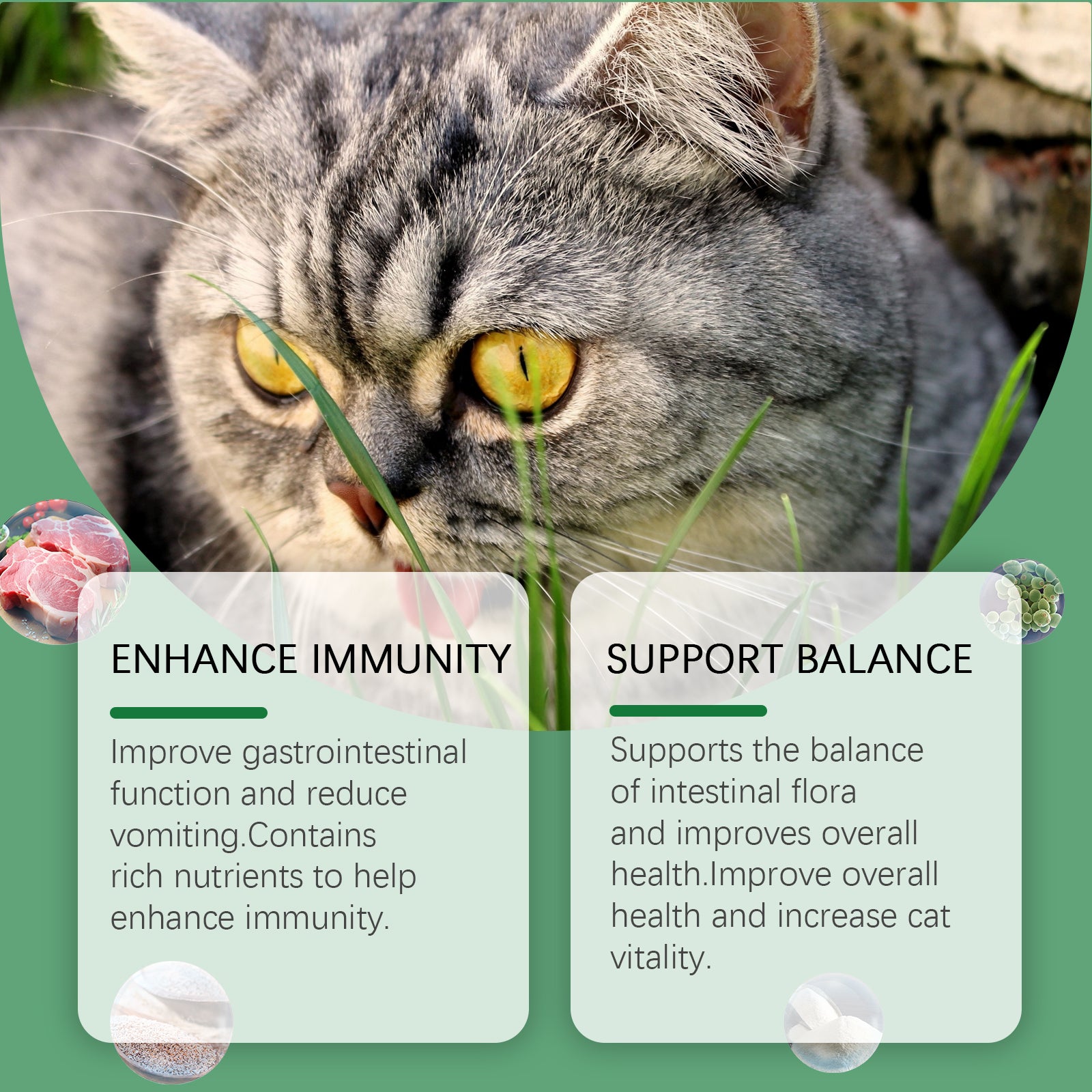Cat Grass Tablets For Healthy Pets