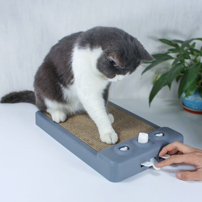 Cat Scratching Board | Multi-Corrugated Cat Treadmill Toy