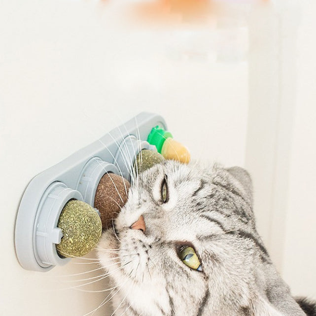 Cat Mint Ball Spinning Ball Toy Lollipops