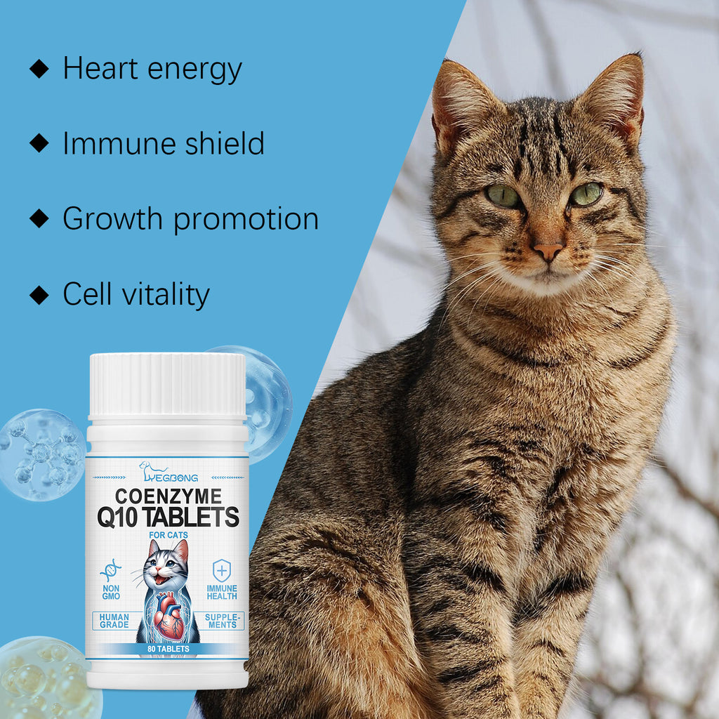 Cats Coenzyme Q10 Tablets