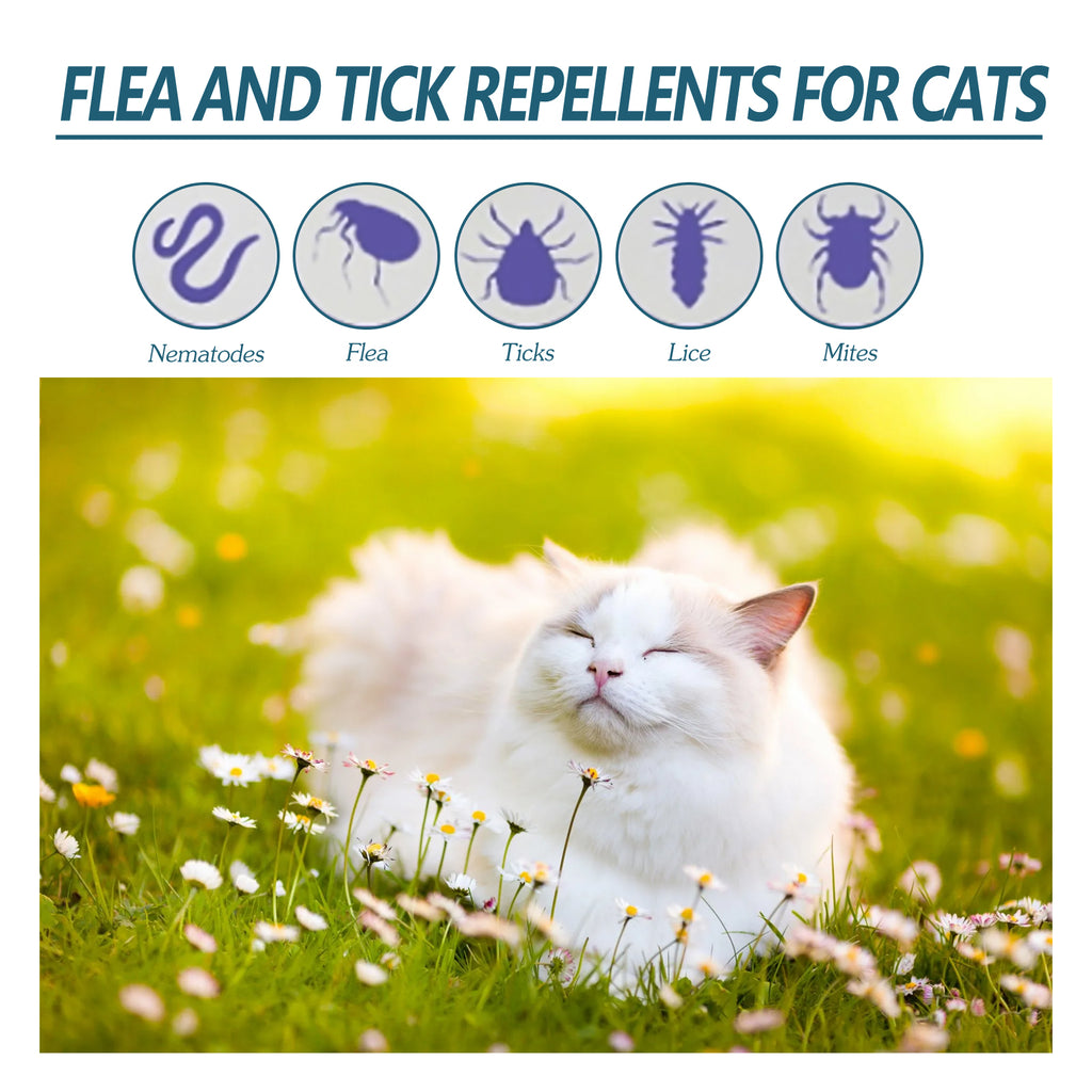 Pet Anti-Flea Tick Agent External Drops