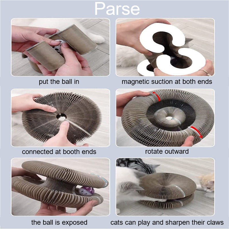 Cat Scratching Board Organ with Bell