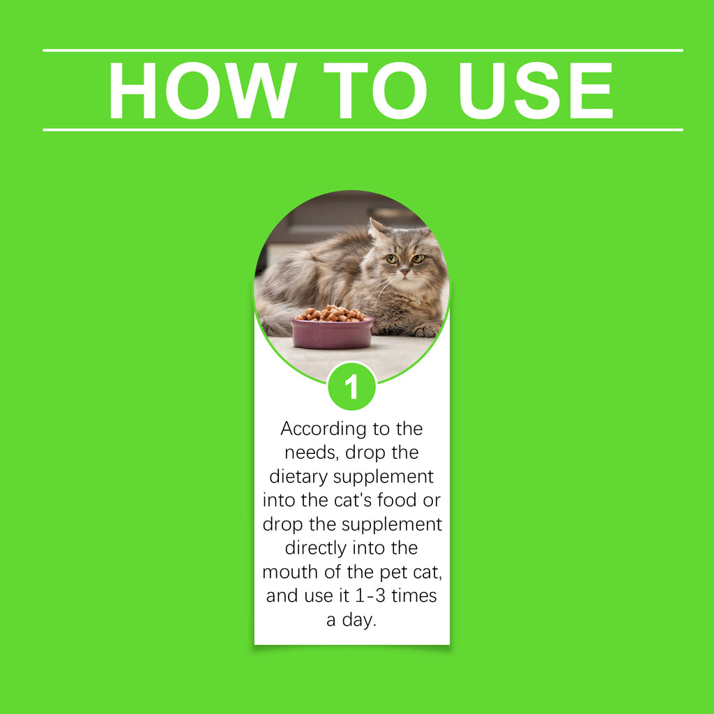 Cats With Probiotic Drops